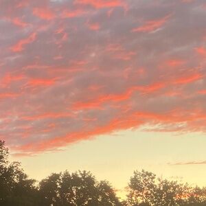 Meet your Posher, Daniela